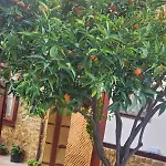 Aksaray Boutique Отель *