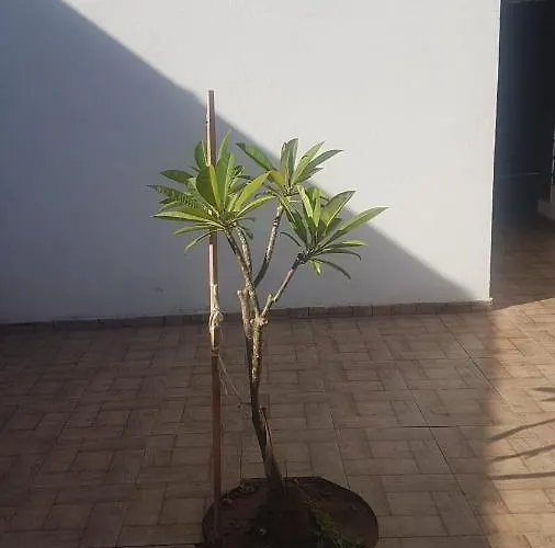 Aksaray Boutique * Nicosia