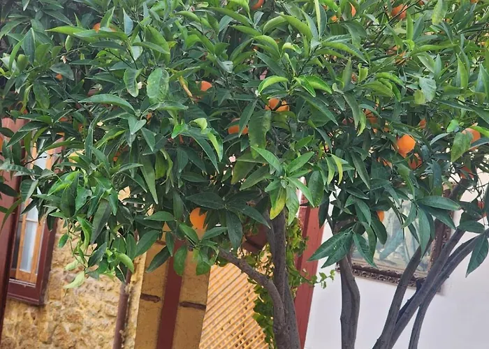 Aksaray Boutique Hotell *