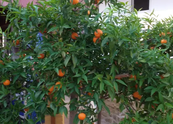 Aksaray Boutique * Nicosia