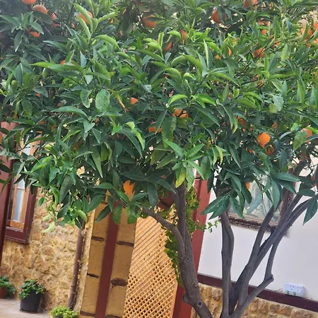 Aksaray Boutique Otel *