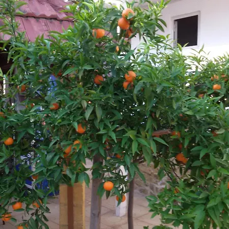 Aksaray Boutique * Lefkoşa