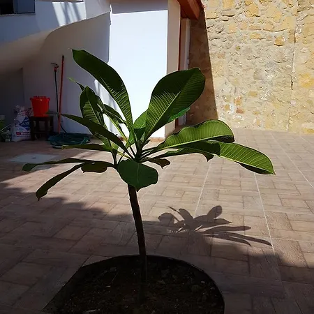 Aksaray Boutique * Nikosia