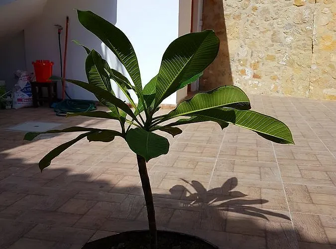 Aksaray Boutique * ニコシア