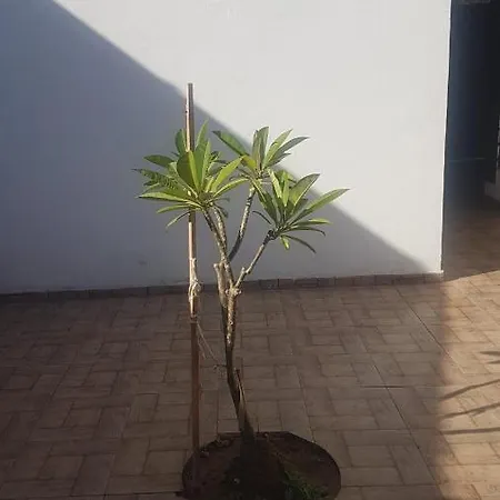 Aksaray Boutique * 尼科西亚