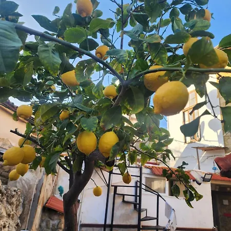 酒店 Aksaray Boutique *