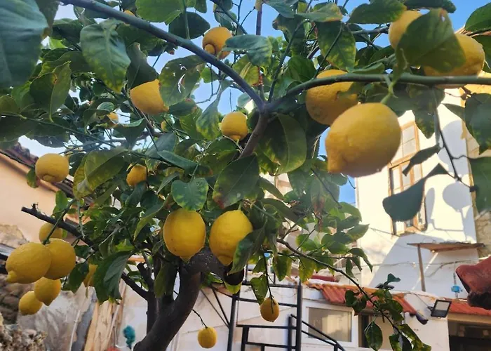 Otel Aksaray Boutique *